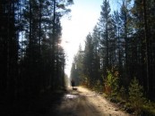 отдых в Карелии